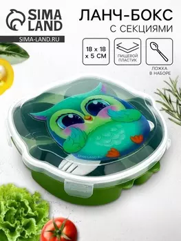 Ланч - бокс «Совушка», 18 х 18 х 5 см