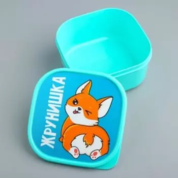 Ланч - бокс квадратный «Жрунишка», 700 мл