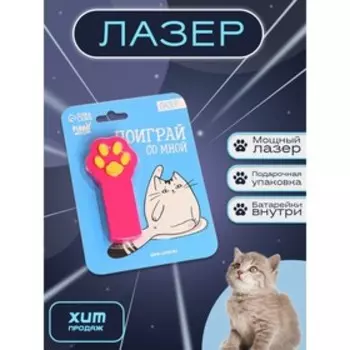 Лазер «Поиграй со мной»