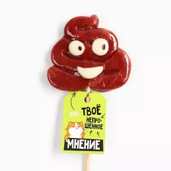 Леденец на палочке «Непрошенное мнение», со вкусом молочного шоколада, 15 г