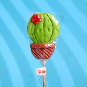 Леденец "Кактус", 30 г