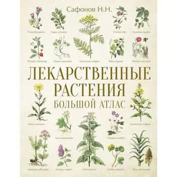 Лекарственные растения. Большой атлас. Сафонов Н.Н.