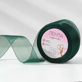 Лента капроновая, 40 мм, 20 ± 1 м, цвет зелёный №49