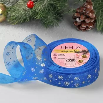 Лента капроновая с тиснением «Снежинки», 25 мм 23 ± 1 м, цвет синий/серебряный №040