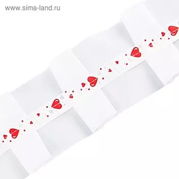 Лента "Волна", шёлк, 3 м, белая