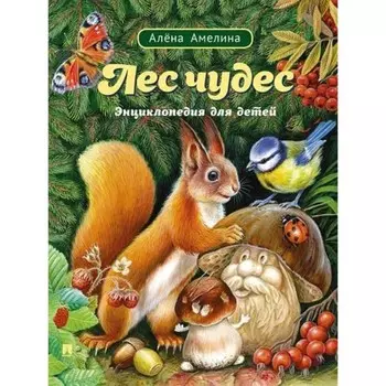 Лес чудес. Энциклопедия для детей. Амелина А.