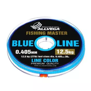 Леска монофильная ALLVEGA Fishing Master, диаметр 0.405 мм, тест 12.5 кг, 30 м, голубая