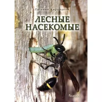 Лесные насекомые. Кирцидели Е.Ю.