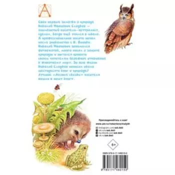 Лесные сказки. Сладков Н.И.