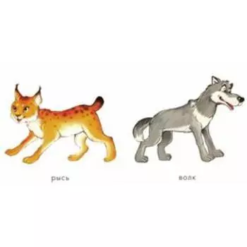 Лесные животные