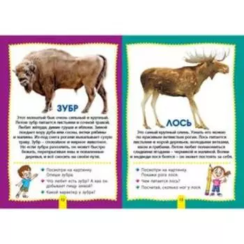 Лесные животные. Фотокнига для самых маленьких