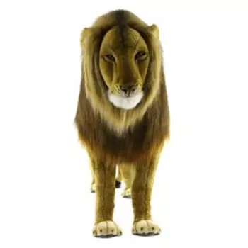Лев, 120 см