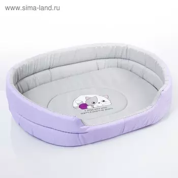 Лежанка овальная «Я лучше всех умею лежать и ничего не делать» 43х32х9,5 см