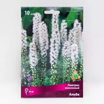 Лиатрис колосковый Альба, луковицы в пакете с перфорацией, 10 шт., р-р 8/10