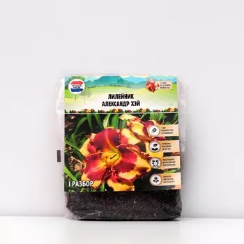 Лилейник "Alexander Hay", р-р I, 1 шт, Весна 2023