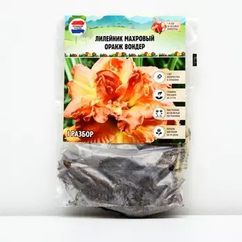 Лилейник "Double Orange Wonder", р-р I, 1 шт,