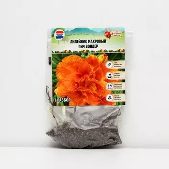 Лилейник "Double Peach Wonder", р-р I, 1 шт, Весна 2024