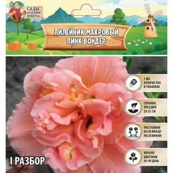 Лилейник "Double Pink Wonder", р-р I, 1 шт, Весна 2025