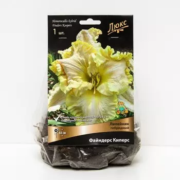 Лилейник гибридный Файндерс Киперс, I р-р, 1 шт. 65 h(см), Осень 2024