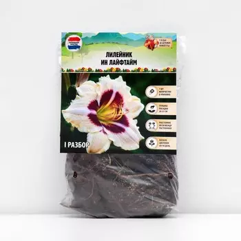 Лилейник "In A Lifetime", р-р I, 1 шт, Весна 2023