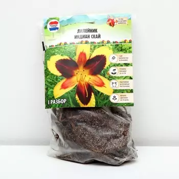 Лилейник "Indian Sky", р-р I, 1 шт, Весна 2024