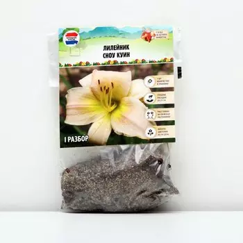 Лилейник "Snow Queen", р-р I, 1 шт, Весна 2023