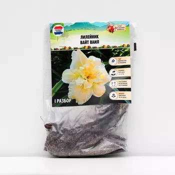 Лилейник "White Vail", р-р I, 1 шт,