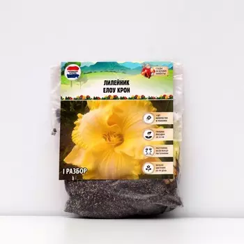 Лилейник "Yellow Crown", р-р I, 1 шт, Весна 2023