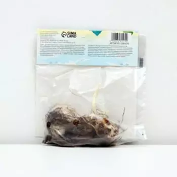 Лилия Многоцветная «Коголето», луковица в пакете с перфорацией, р-р 12/14, 3 шт.