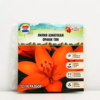 Лилия Азиатская "Orange Ton", р-р 12/14, 3 шт, Весна 2023