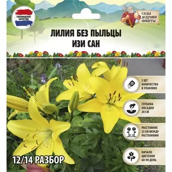 Лилия без пыльцы "Easy Sun", р-р 12/14, 2 шт, Весна 2025