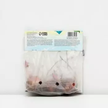 Лилия Чалмовидная "Мисс Фея", р-р 12/14, 3 шт, Весна 2025