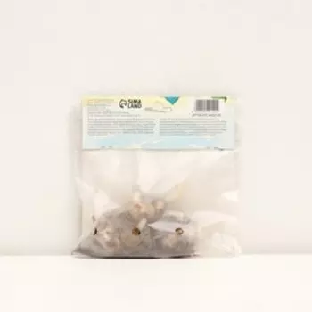 Лилия Тигровая «Свит Суренде», луковица в пакете с перфорацией, р-р 12/14, 3 шт.