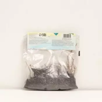 Лилия Турецкая шапочная "Spec.Var. Rubrum Uchida", р-р 12/14, 2 шт, Весна 2025