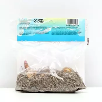 Лилия Восточная "Josephine", р-р 12/14, 3 шт, Весна 2025