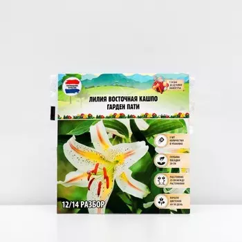 Лилия Восточная Кашпо "Garden Party", р-р 12/14, 2 шт,