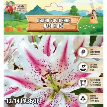 Лилия Восточная "Lovely Day", р-р 12/14, 2 шт, Весна 2025