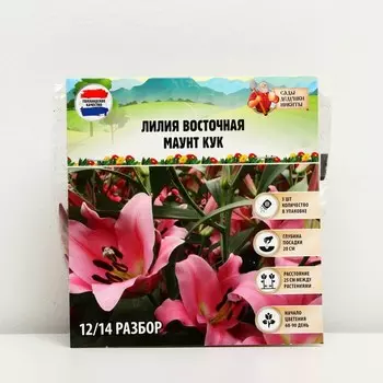 Лилия Восточная «Маунт Кук», луковица в пакете с перфорацией, р-р 12/14, 3 шт.