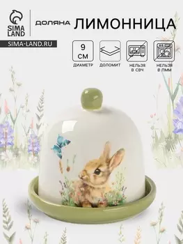 Лимонница Доляна «Зайка», доломит, 99 см, белая