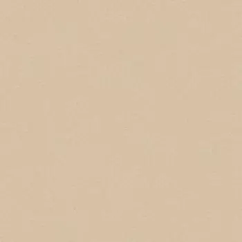 Линолеум коммерческий Acczent PRO Aspect 5 ширина 3 м длина 5 м, толщина 2 мм,15 м2