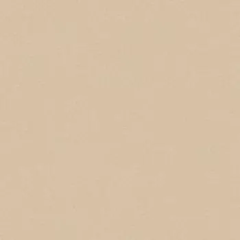 Линолеум коммерческий Acczent PRO Aspect 5 ширина 3 м длина 9,5 м, толщина 2 мм,28,5 м2