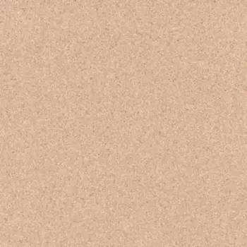 Линолеум коммерческий Primo Plus 302 ширина 2 м длина 9,5 м, толщина 2 мм,19 м2