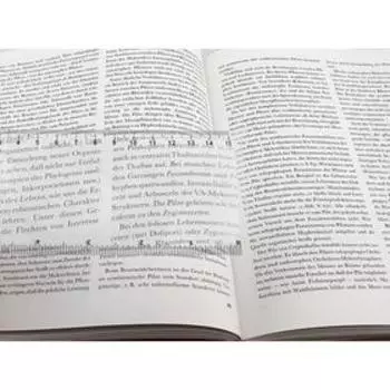 Линза Френеля, размер 190 65 мм, пластик, увеличение 3х