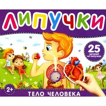 Липучки «Тело человека». 25 деталей на липучках. 2+. Котятова Н.И.