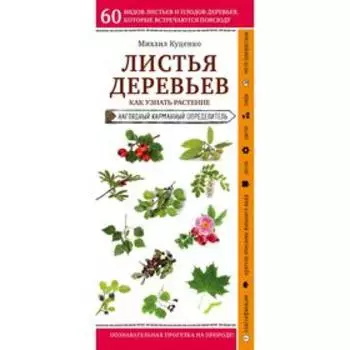 Листья деревьев. Как узнать растение. Куценко М.