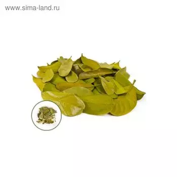 Листья маниока малые, зелёный 50 г