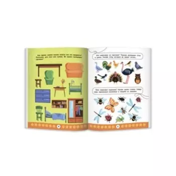 «Логический интеллект», Заболотная