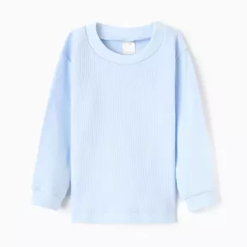 Лонгслив детский, цвет голубой, рост 74