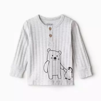 Лонгслив детский, цвет серый, рост 62 см