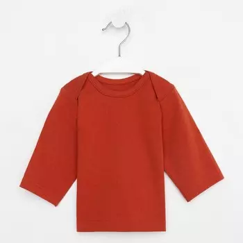 Лонгслив детский, цвет терракотовый, рост 68